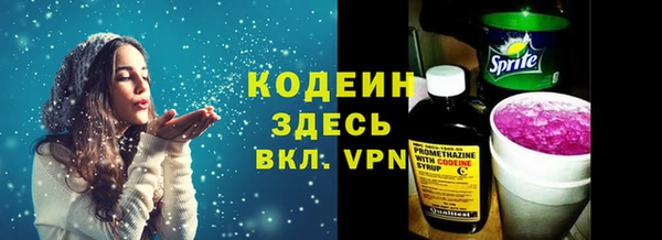 дживик Пестово